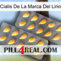 Lily Brand Cialis cialis2